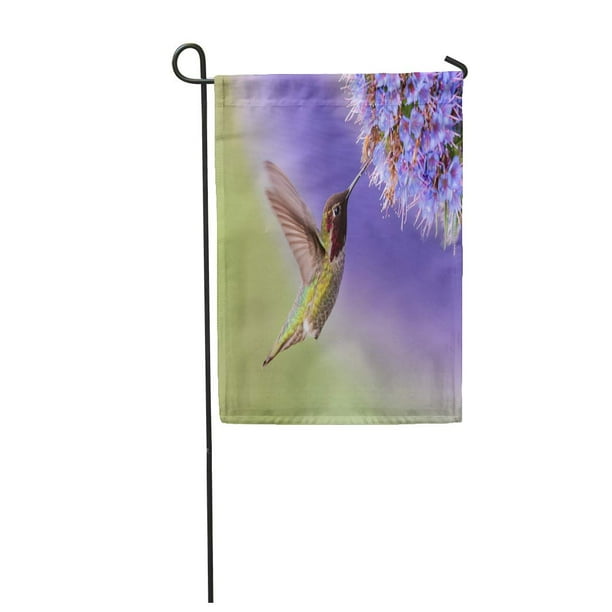 Colored hummingbirds and flowers Garden Flag House Decor Waterproof Yard Banner 